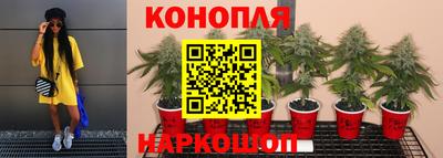 таблы Лесосибирск
