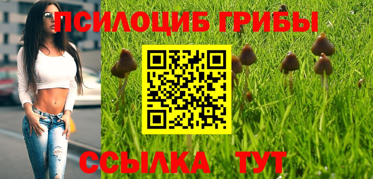 Галлюциногенные грибы Psilocybe Зеленодольск